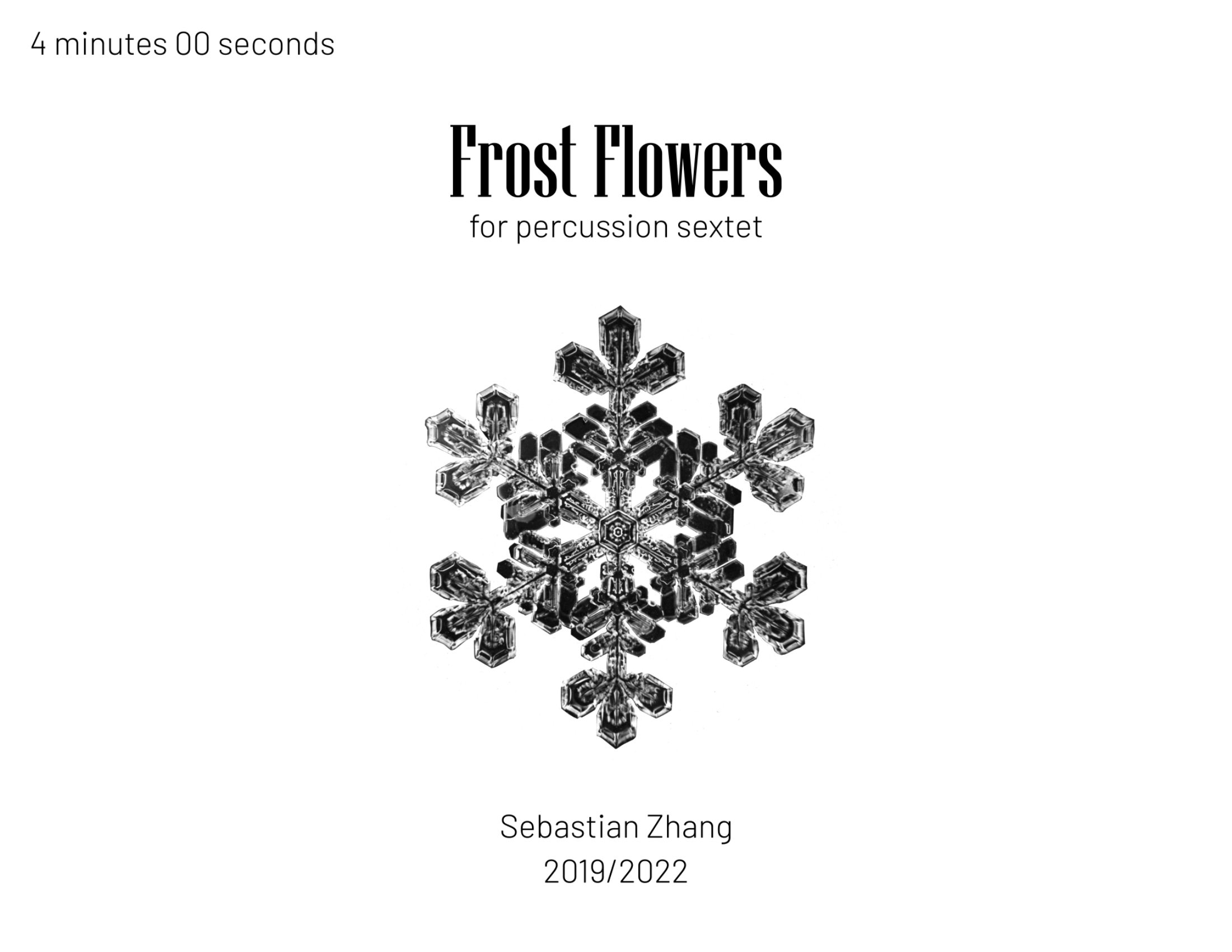 Frost Flowers Cover